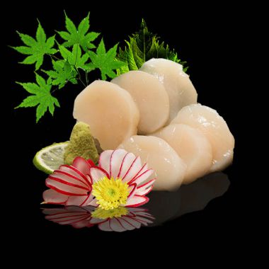 hotate sashimi
